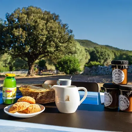 De Filitosa - Le Torreen * Sollacaro