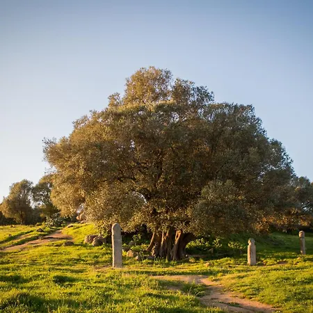 De Filitosa - Le Torreen