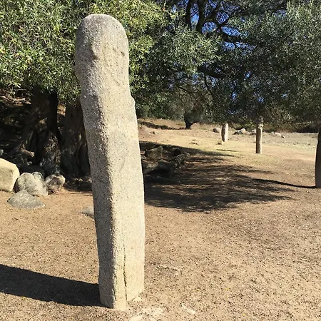 De Filitosa - Le Torreen