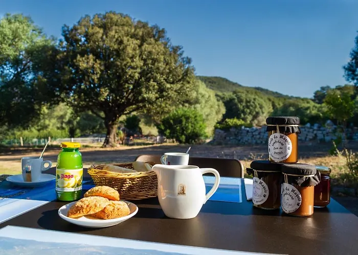 De Filitosa - Le Torreen * Sollacaro