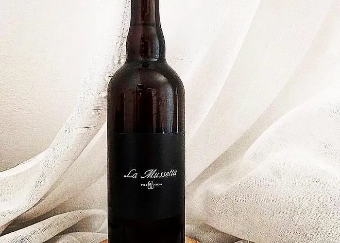 De Filitosa - Le Torreen 公寓 Sollacaro