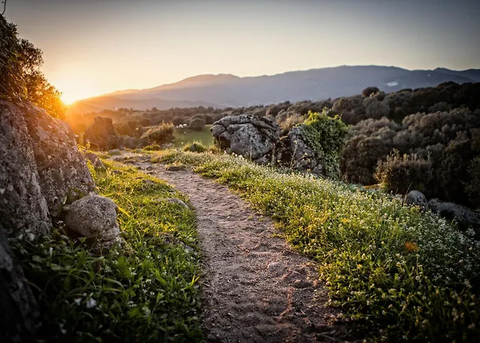 De Filitosa - Le Torreen *