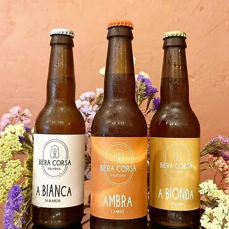 Lejlighed De Filitosa - Le Torreen Sollacaro