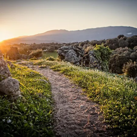 De Filitosa - Le Torreen *