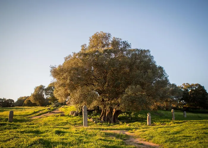 De Filitosa - Le Torreen